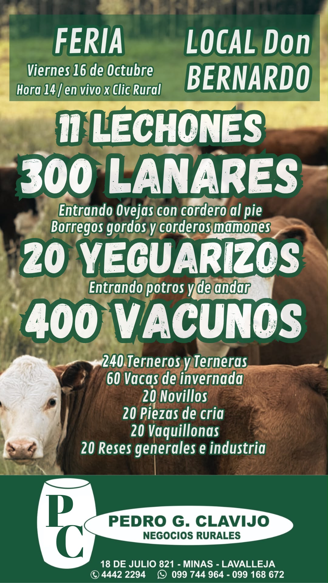 Afiche Feria mensual - Local Don Bernardo