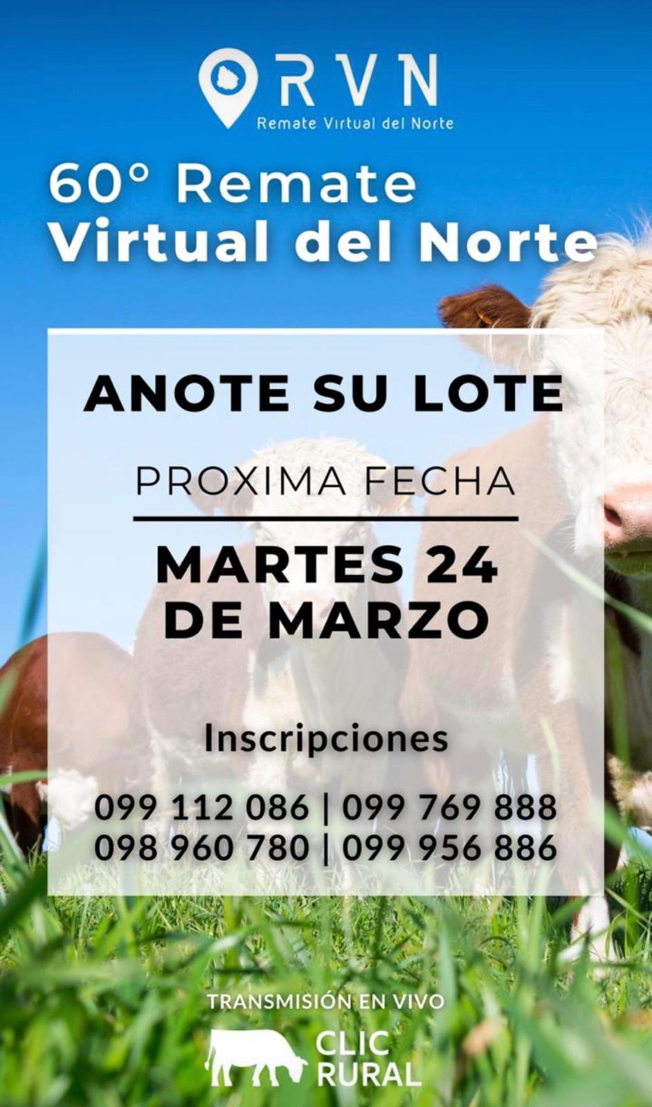 60º Remate Virtual del Norte