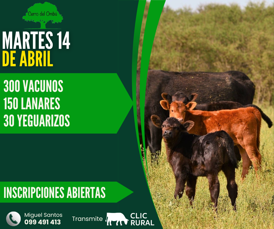 Remate Feria Mensual - Cerro del Ombu