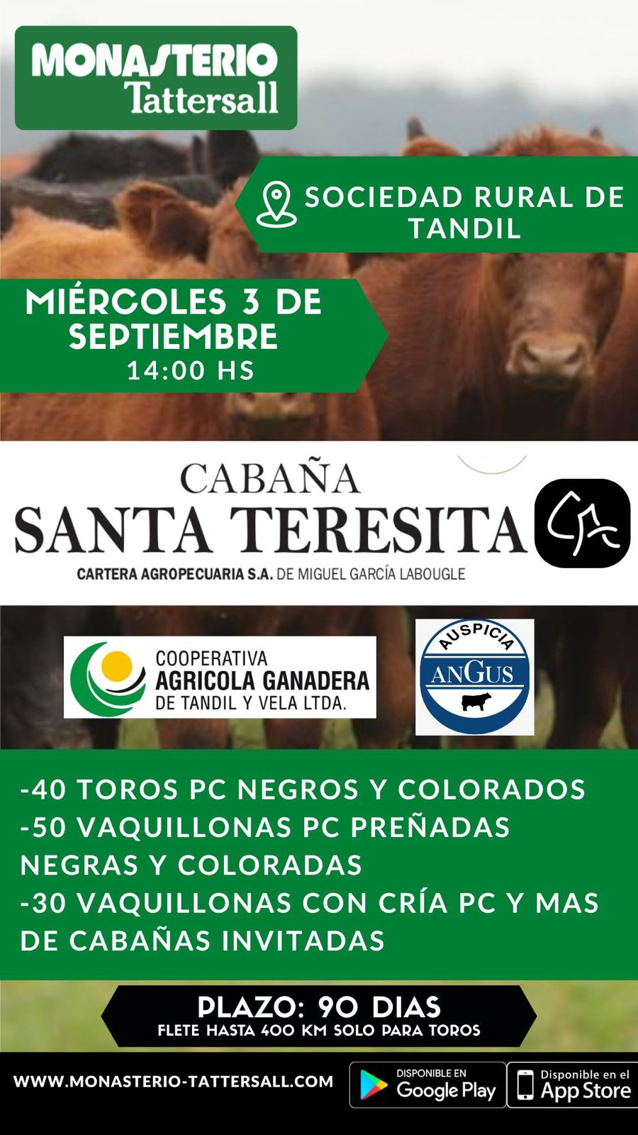 Afiche Remate Físico Cabaña Santa Teresita