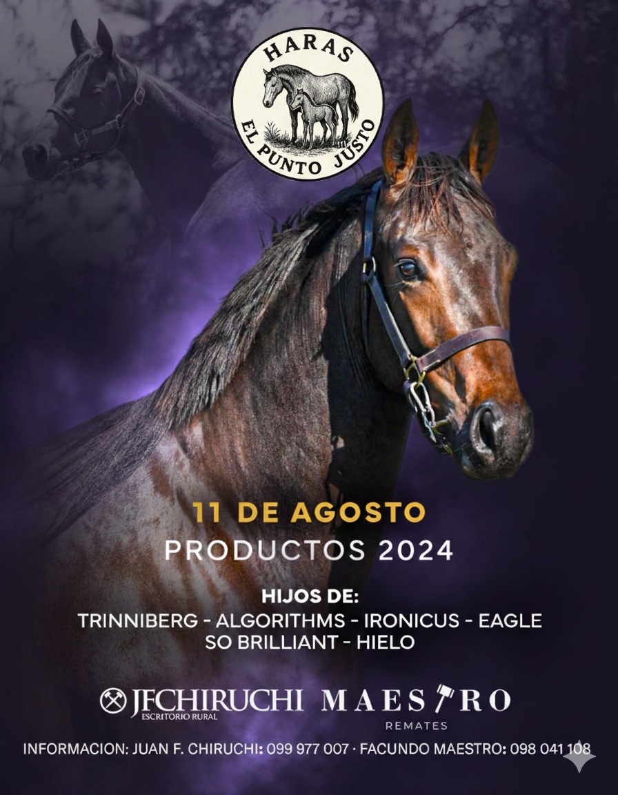 Remate Haras El Punto Justo