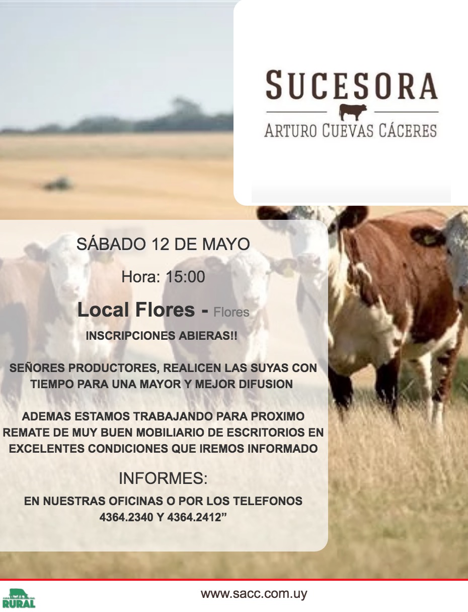 Afiche