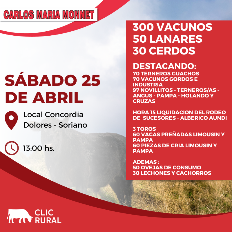 Feria Mensual - Local Concordia