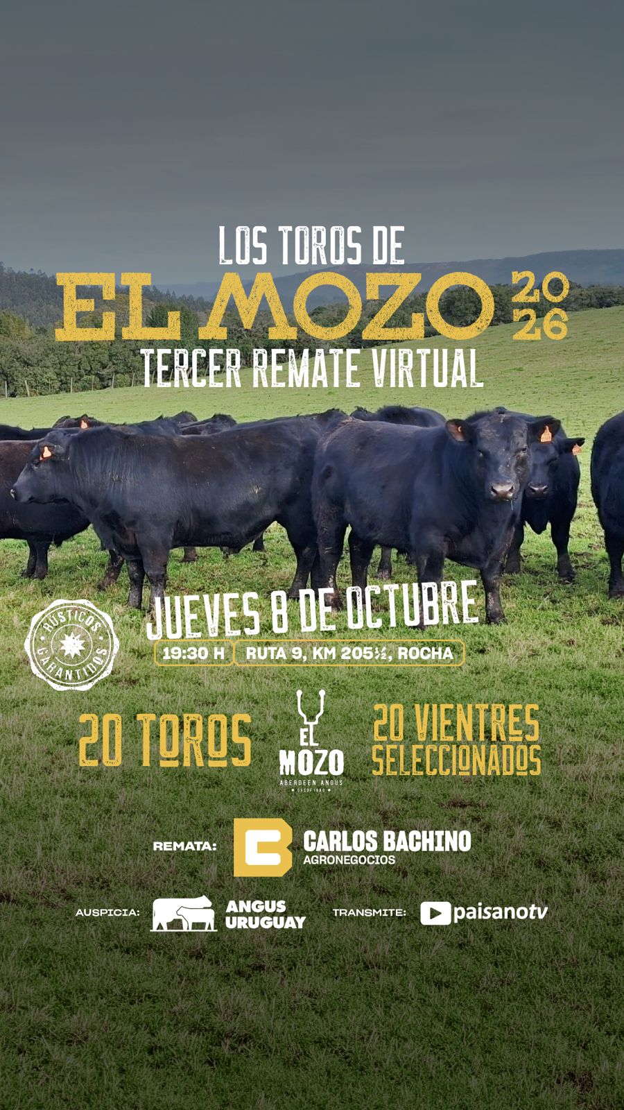El Mozo - Remate Virtual