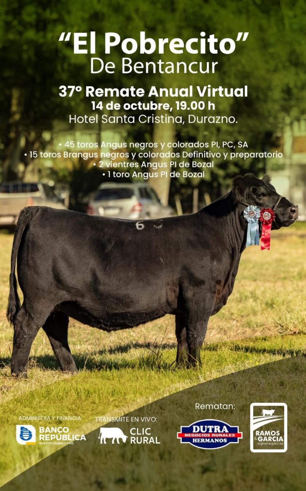 Remate El Pobrecito