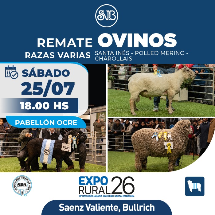 Ovinos - Razas Varias