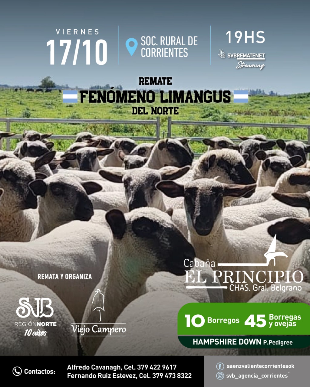 Ovinos 