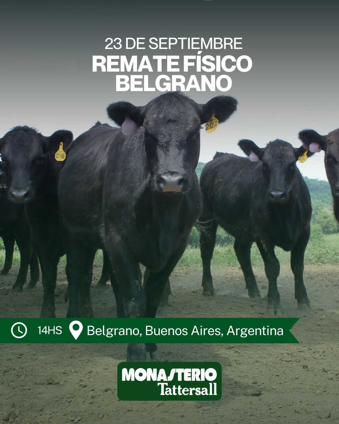 Remate Remate Físico General Belgrano