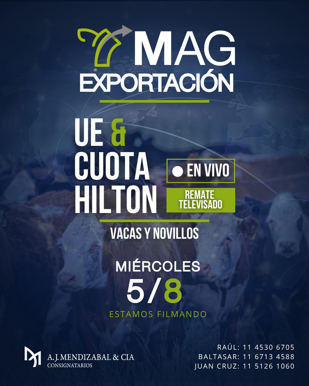 6° Remate MAG TV