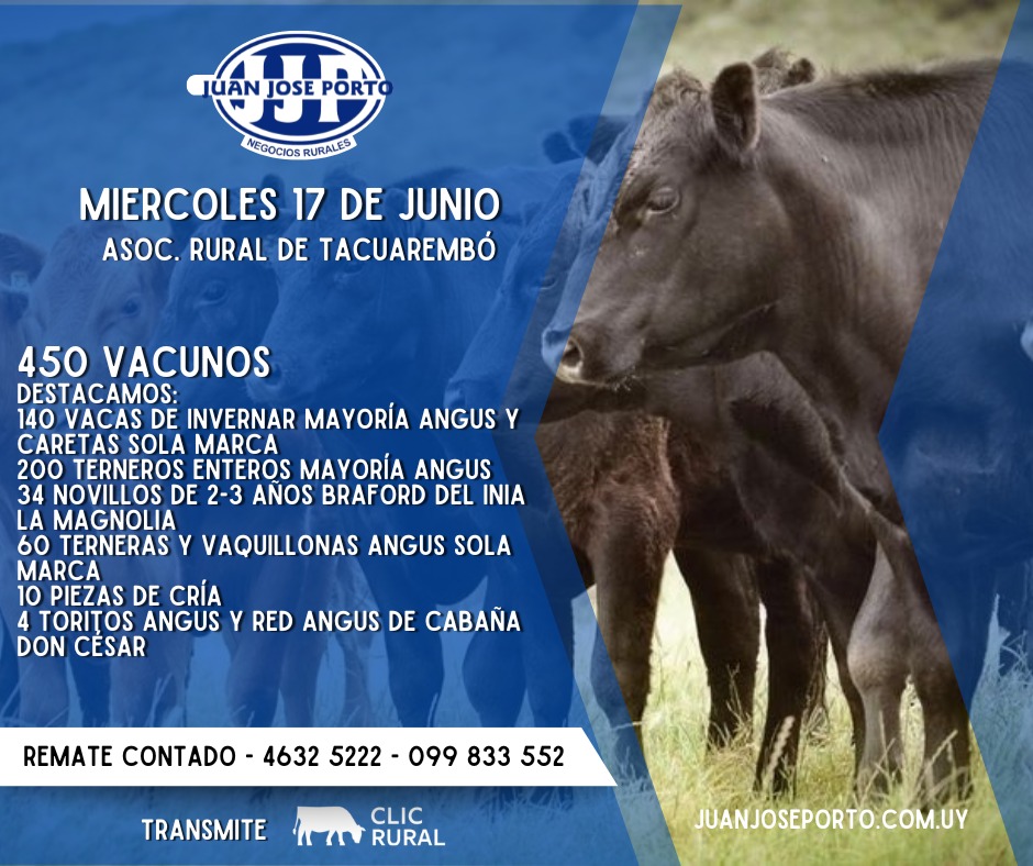 Feria mensual - Juan Jose Porto