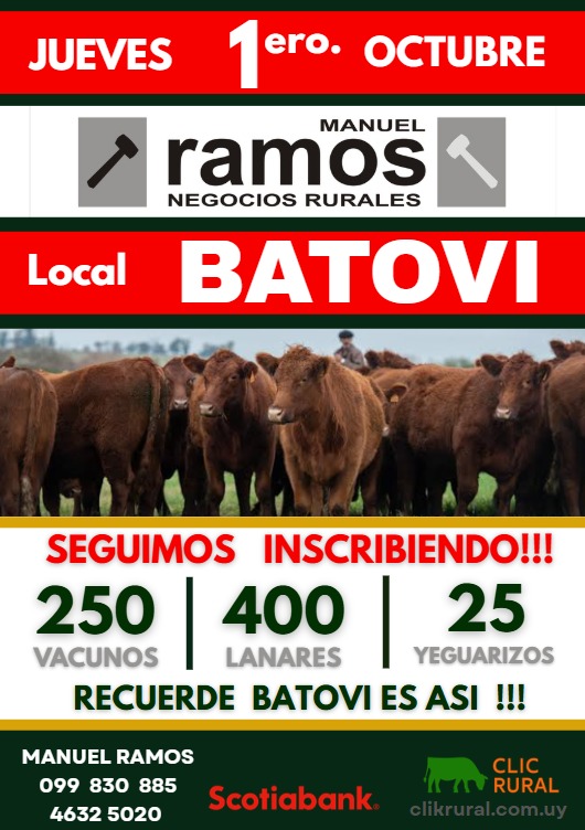 Remate Feria mensual - Local Batovi