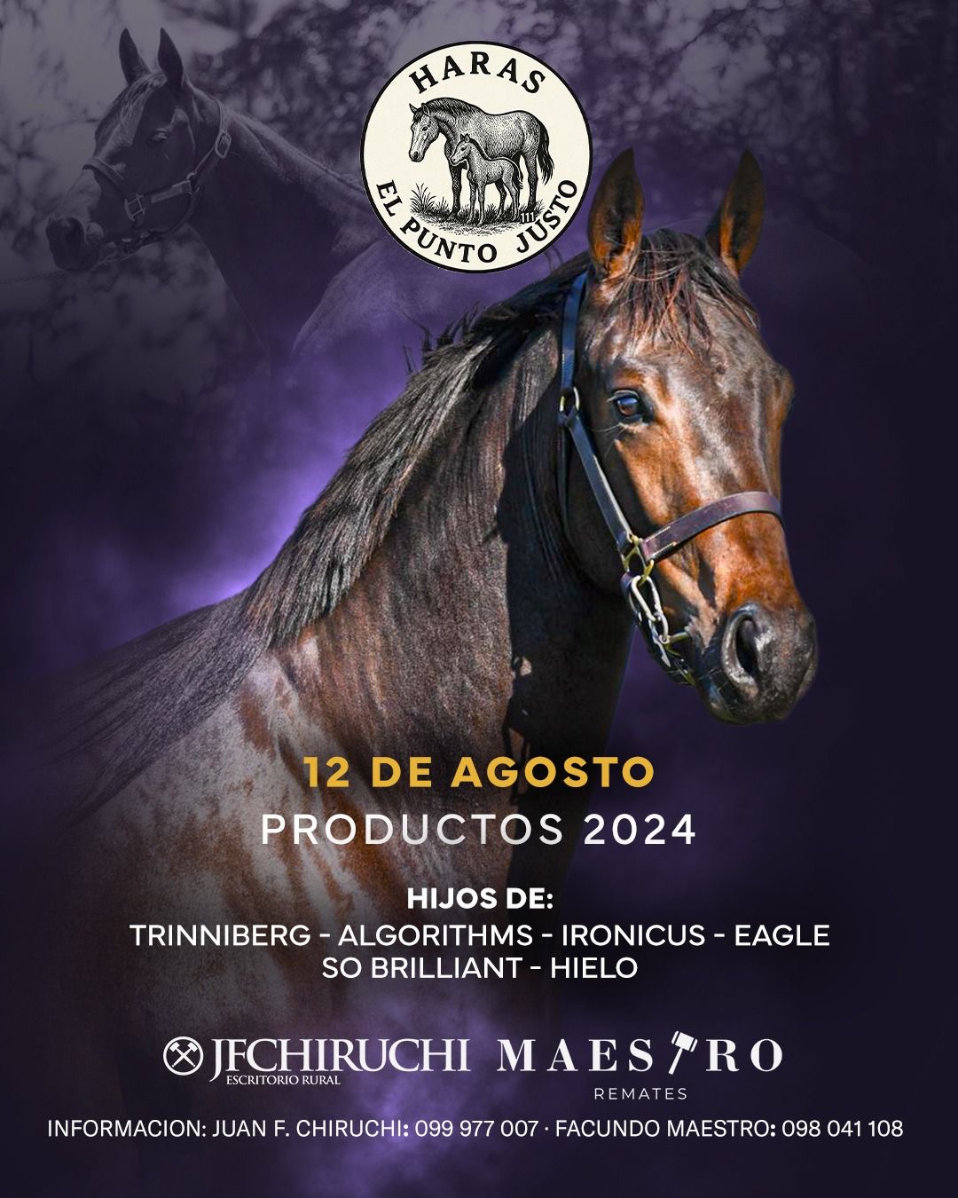 Remate Haras El Punto Justo