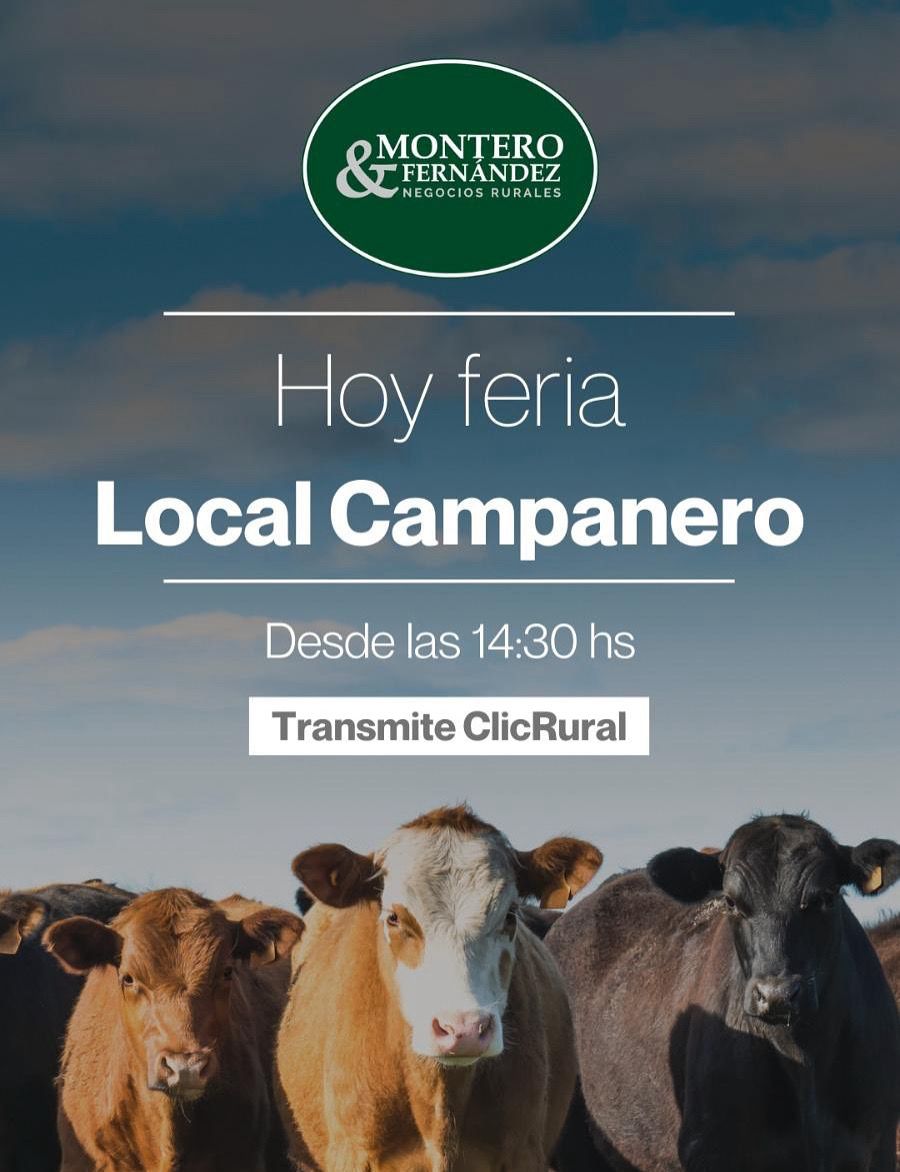 Afiche Feria mensual - Montero y Fernandez