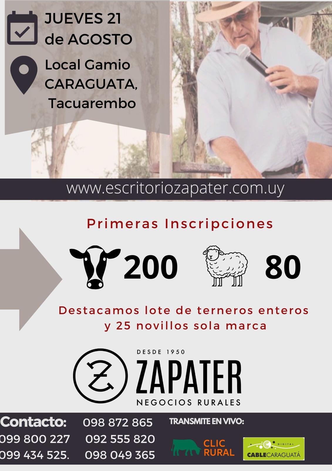 Afiche Feria Mensual - Local Gamio