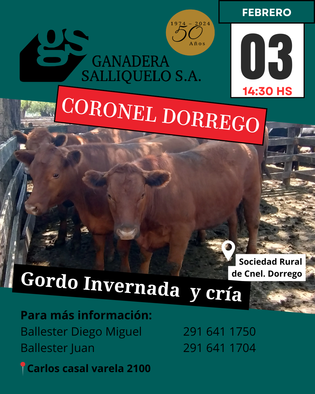 Remate Gordo, Invernada y Cría