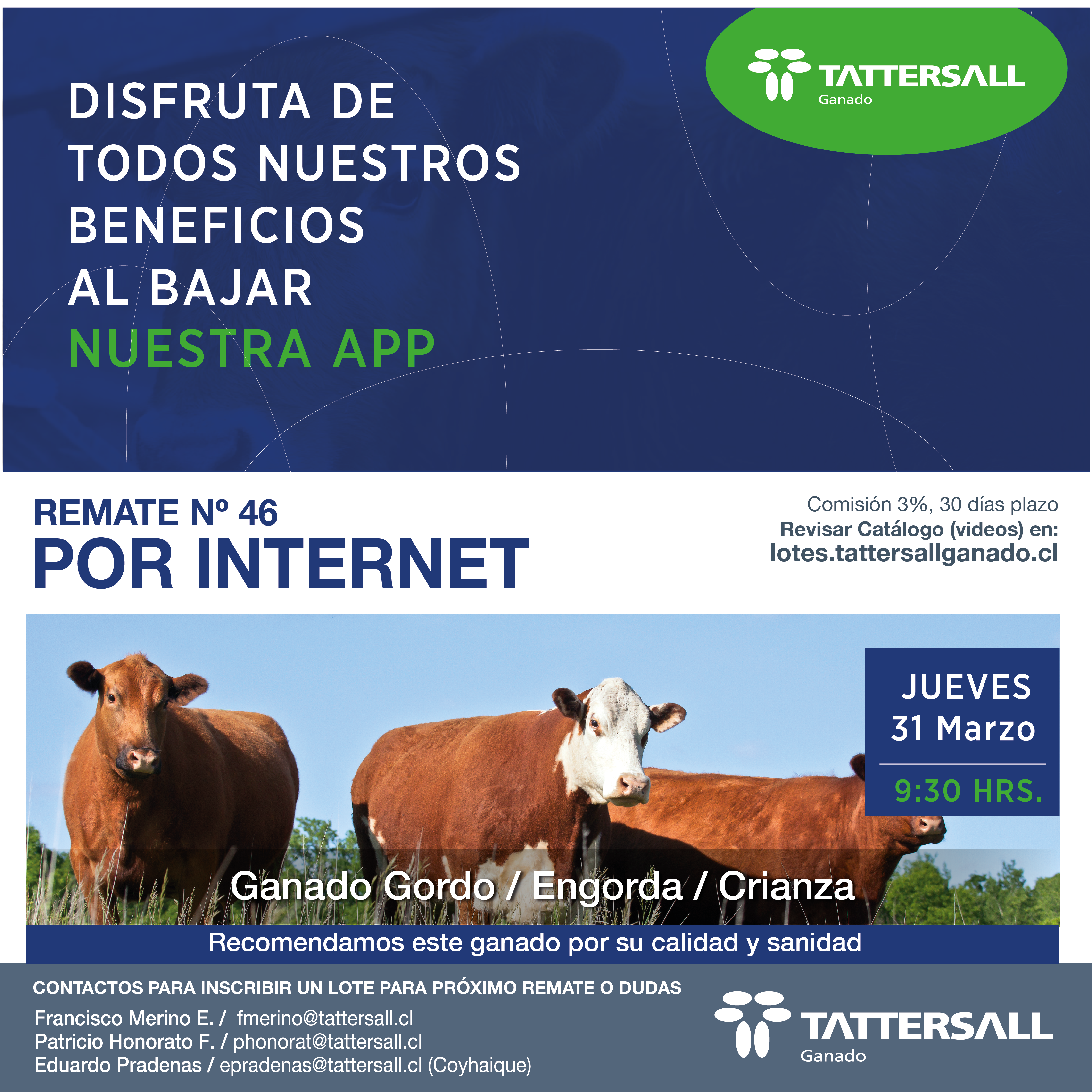 Afiche 31 de Marzo Ganado Crianza y Engorda