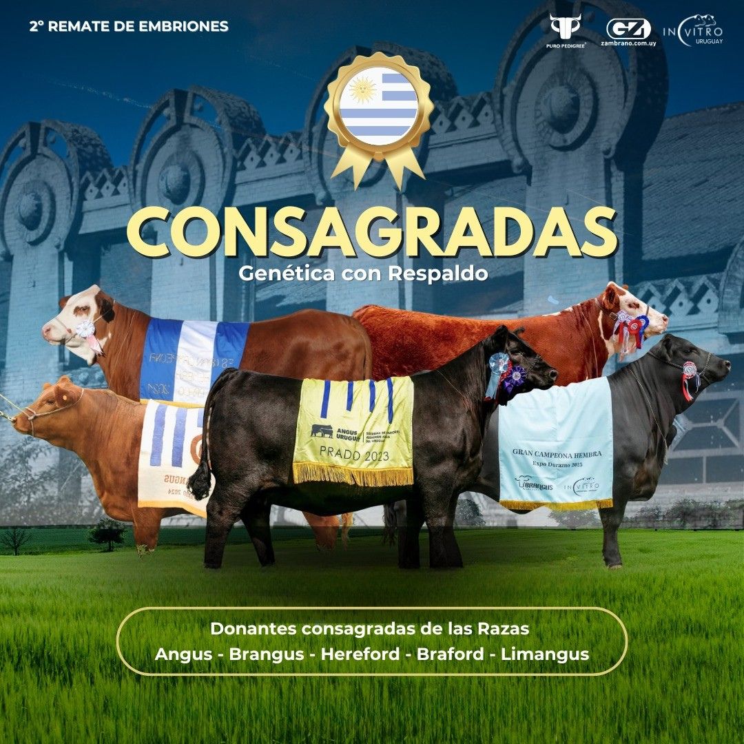 Consagradas