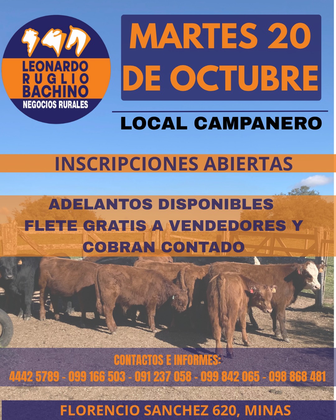 Afiche Feria mensual - Leonardo Ruglio Bachino