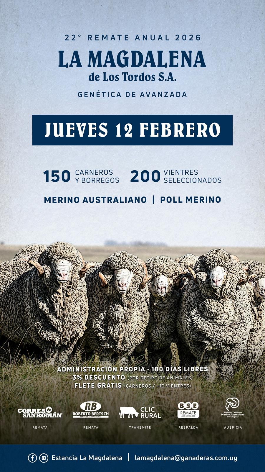 Remate LA MAGDALENA DE LOS TORDOS