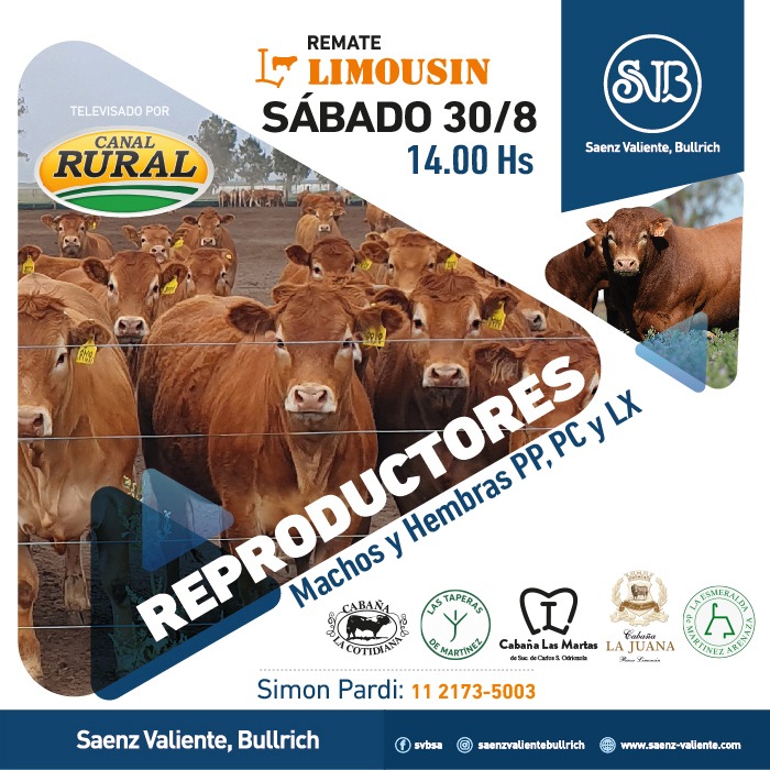 Limousin