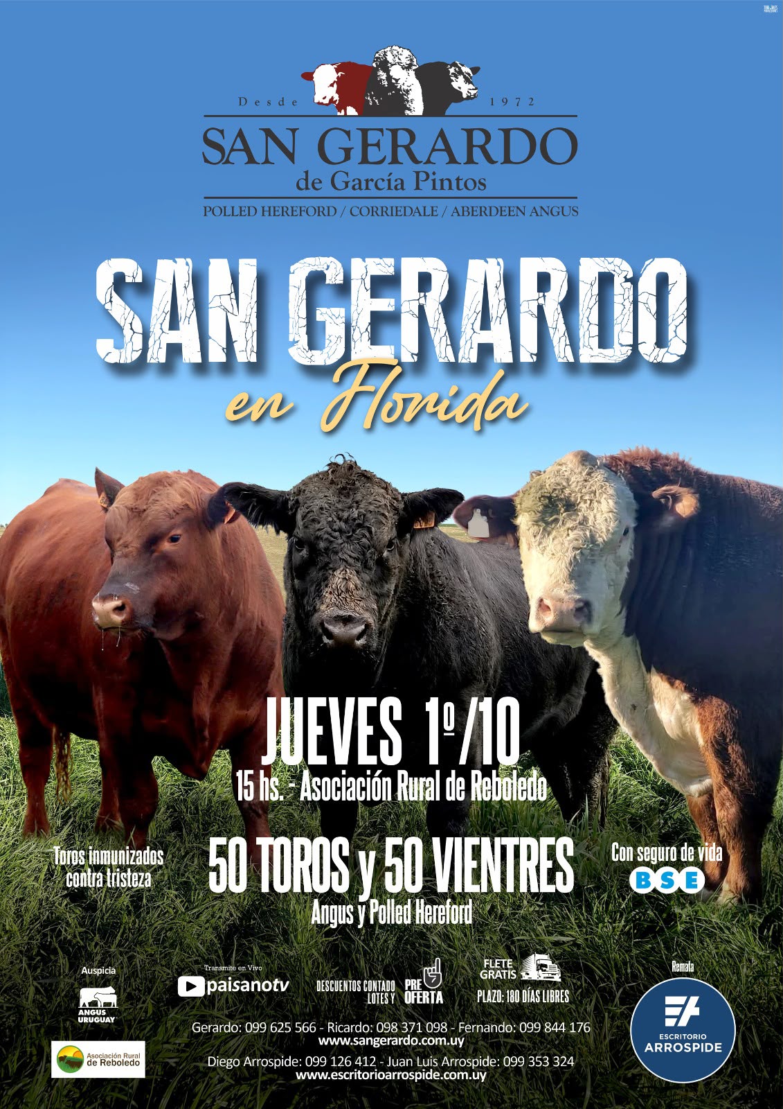 Afiche San Gerardo en Florida