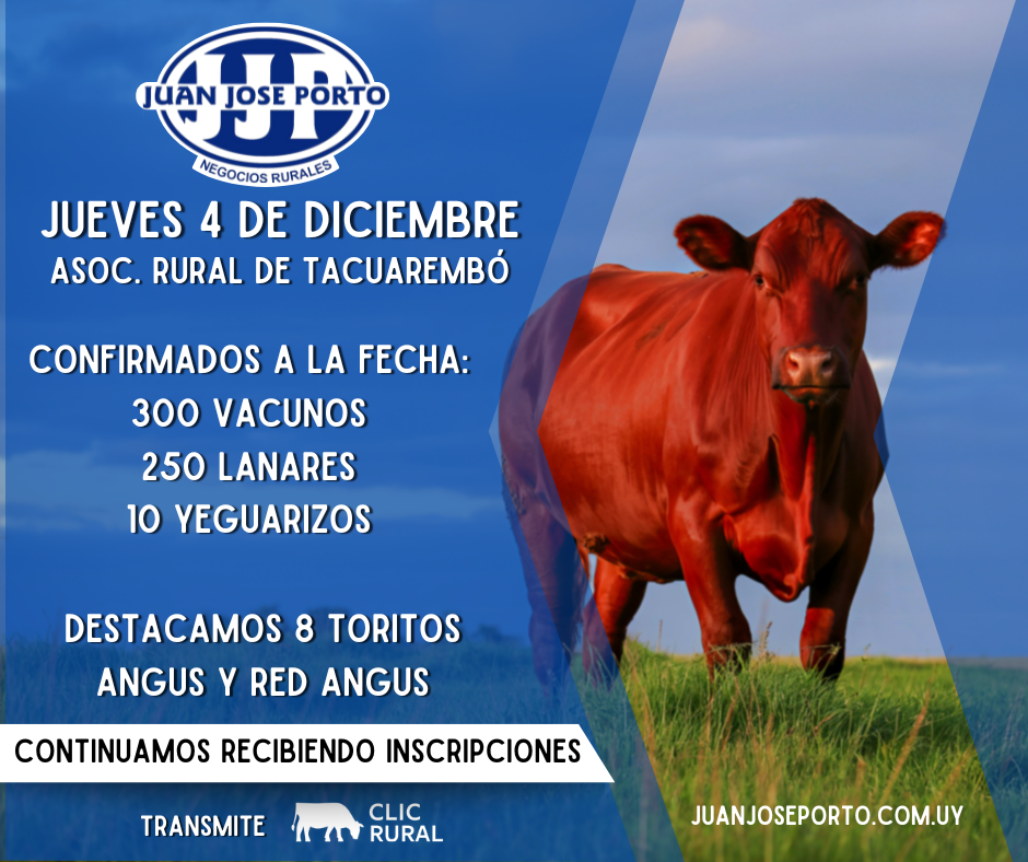 Remate Feria Mensual - Juan Jose Porto