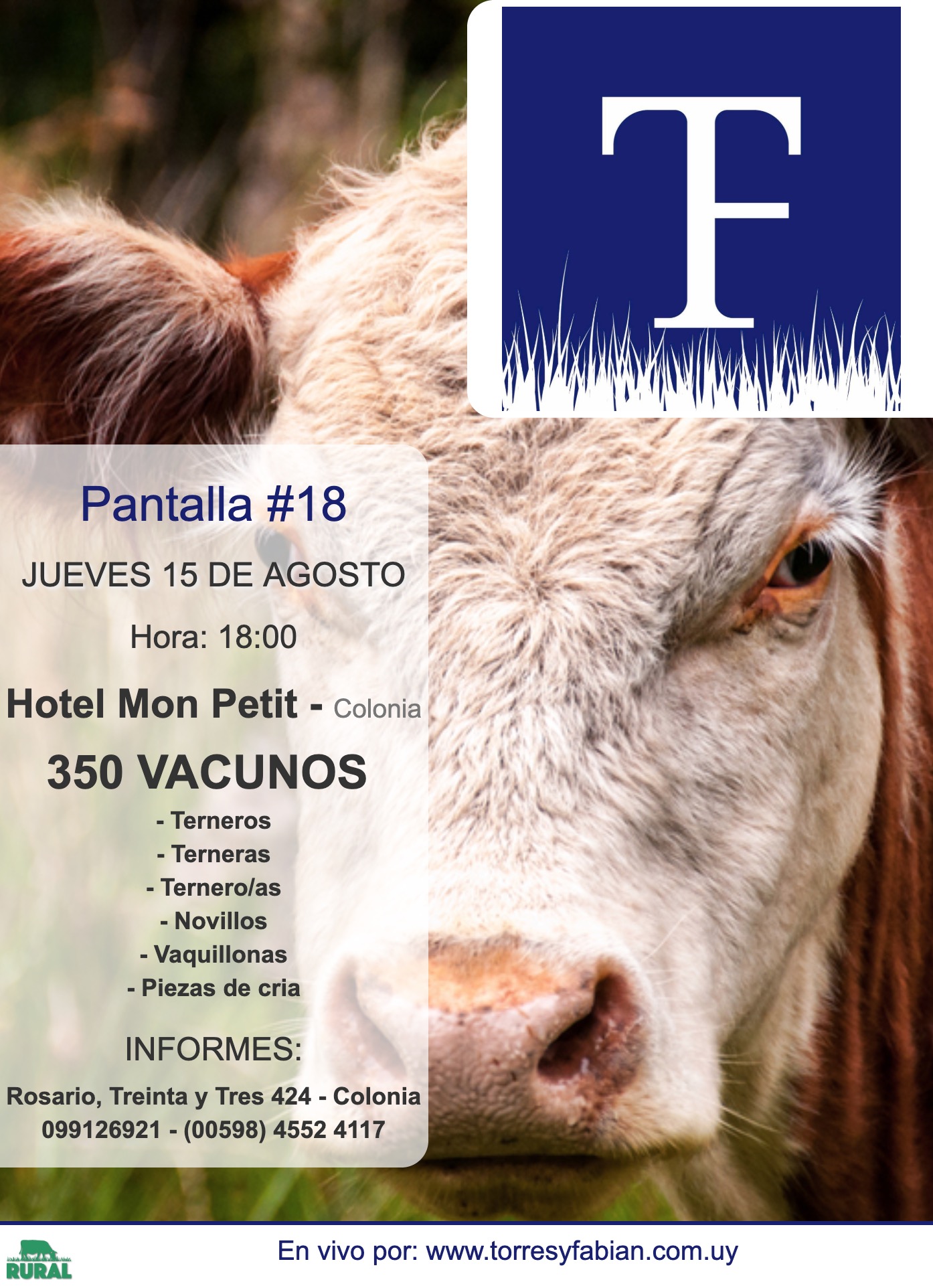Afiche Pantalla #18 