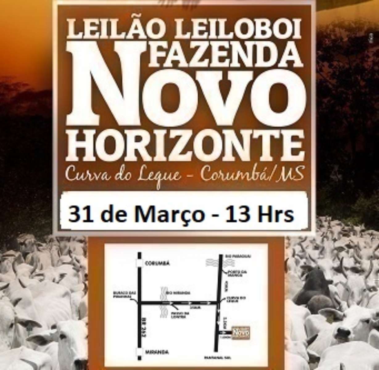 Afiche 56º LEILÃO LEILOBOI FAZENDA NOVO HORIZONTE (CORTE)