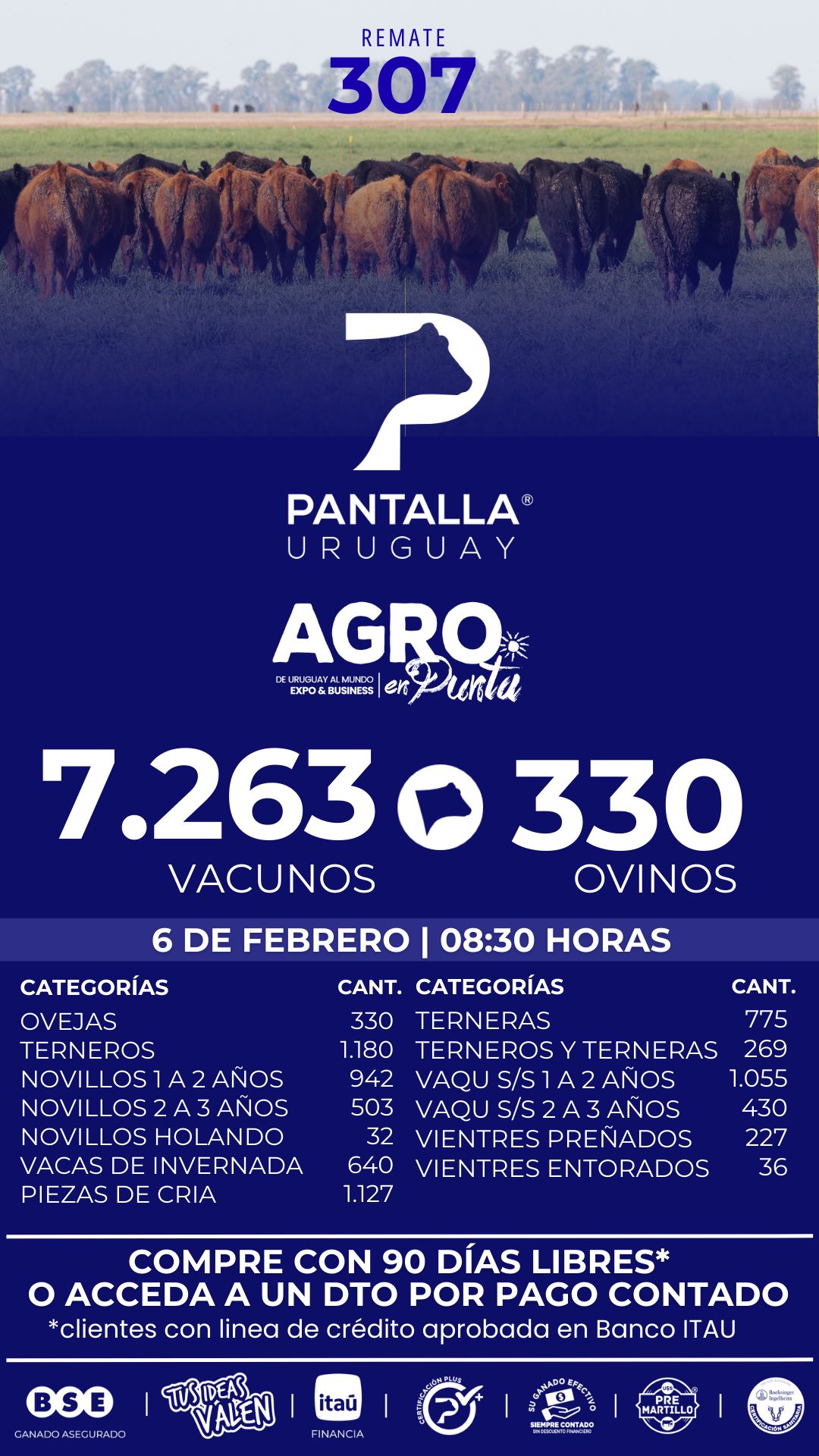 307º remate Pantalla Uruguay / Agro En Punta