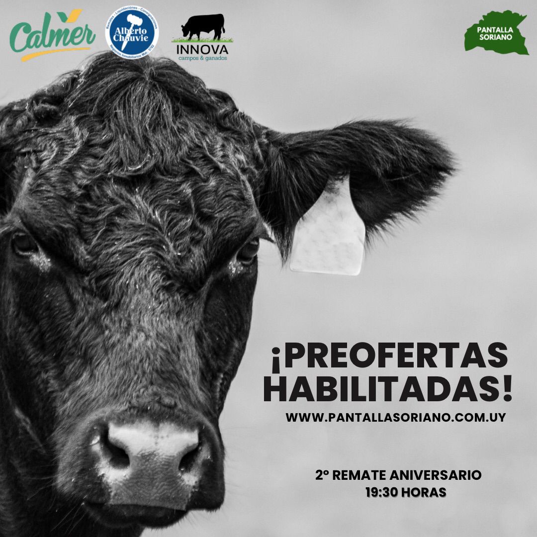 Remate 22º Pantalla Soriano