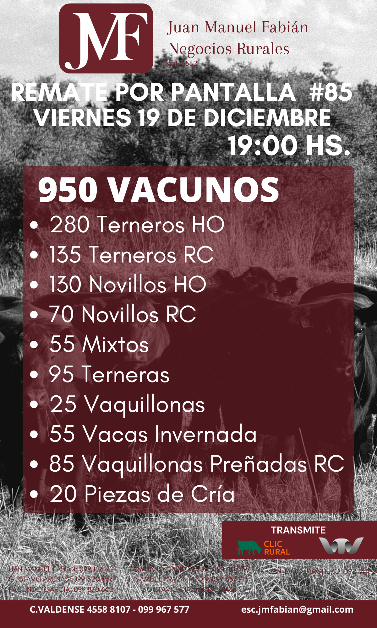 Afiche #85 Pantalla JMF