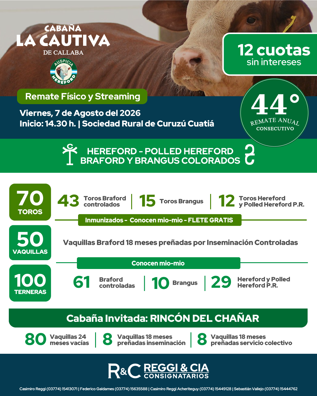 Remate Cabaña La Cautiva de Callaba