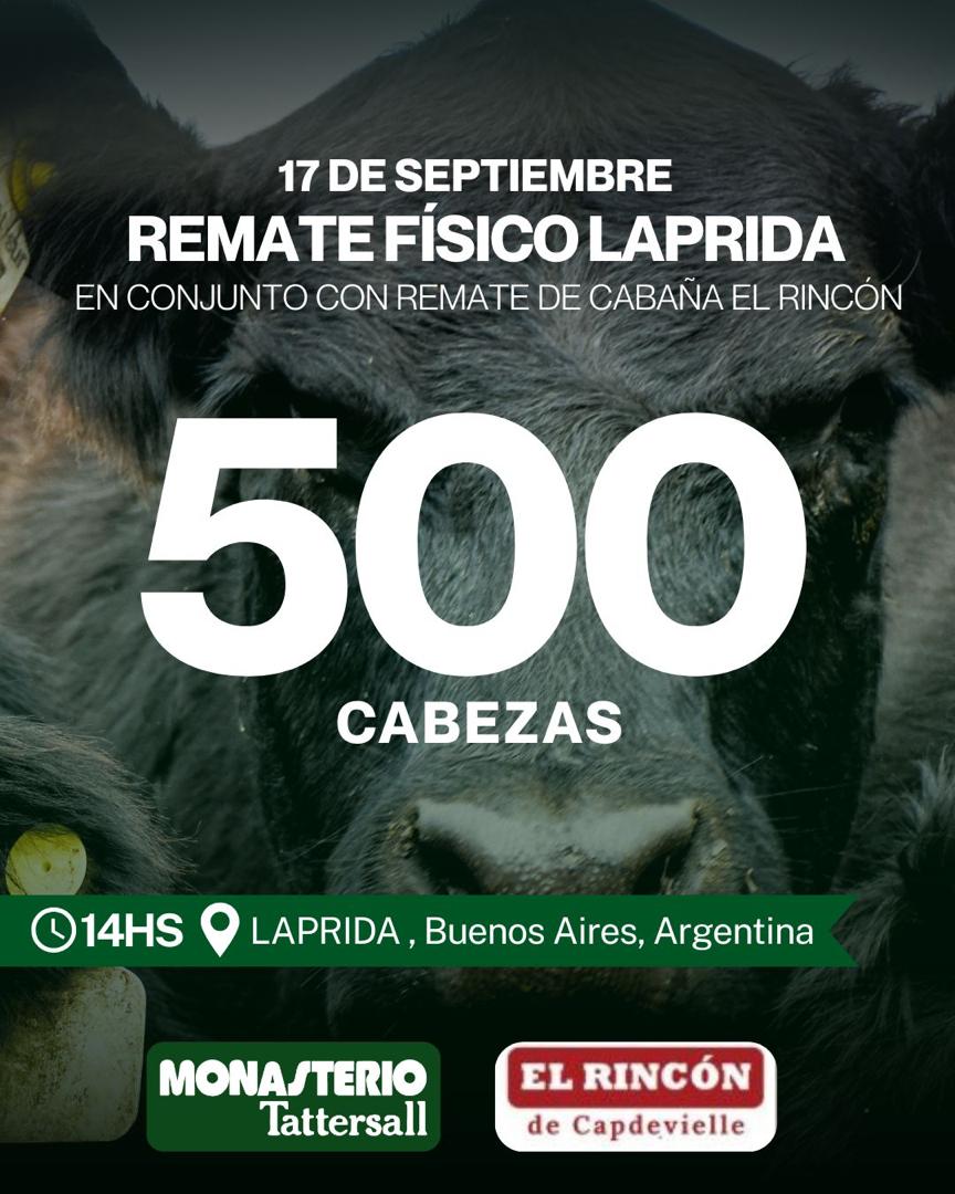 Remate Remate Físico Laprida