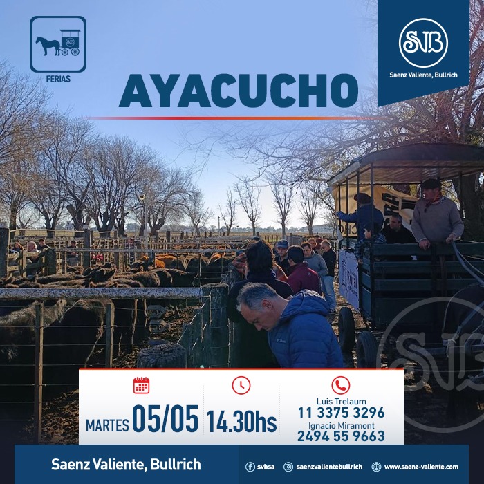 Feria en Ayacucho