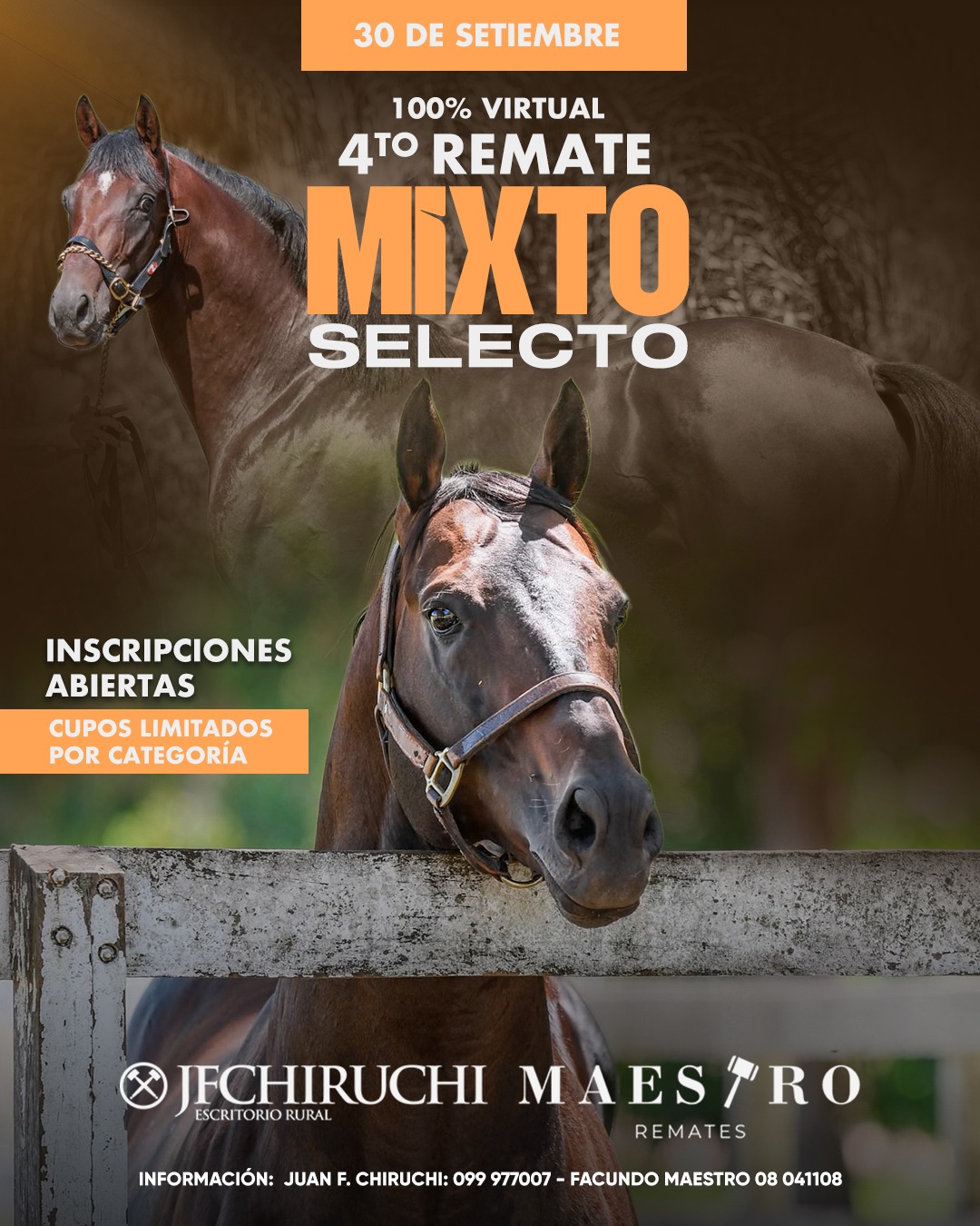 Afiche 4to Remate Mixto