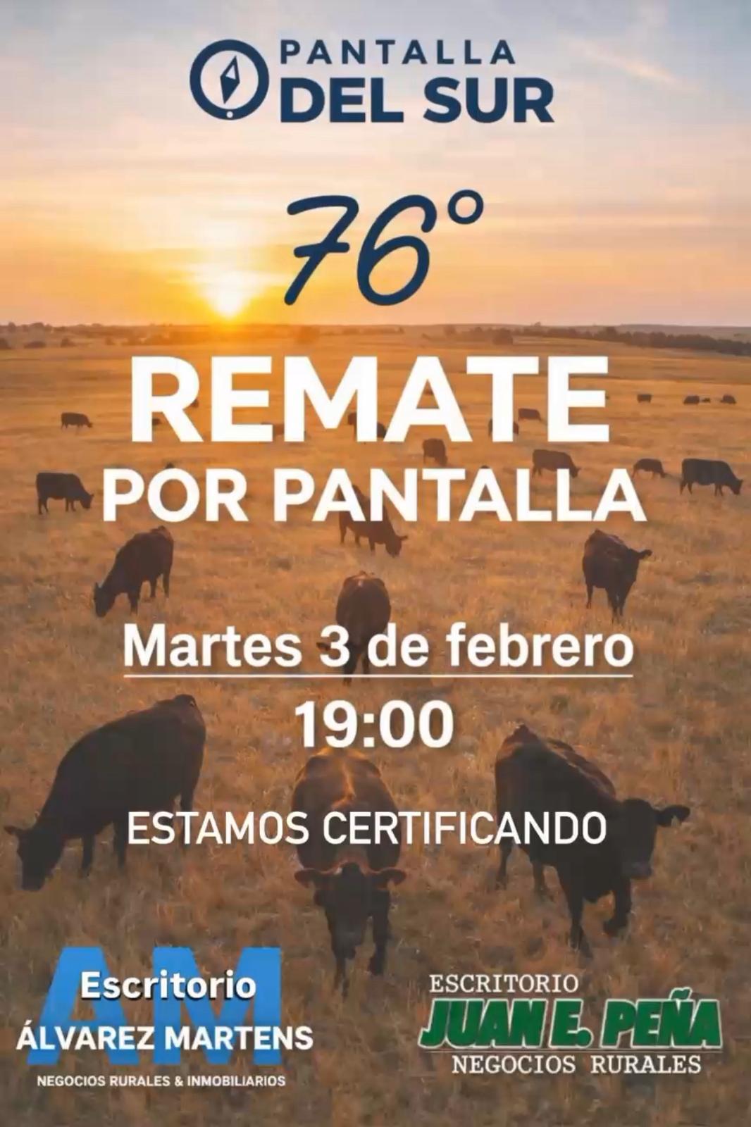 Remate 76º Pantalla del Sur