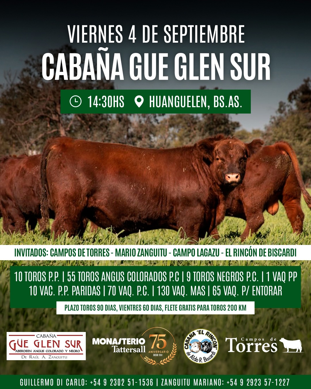 Afiche Cabaña Gue Glen Sur de Zanguitu