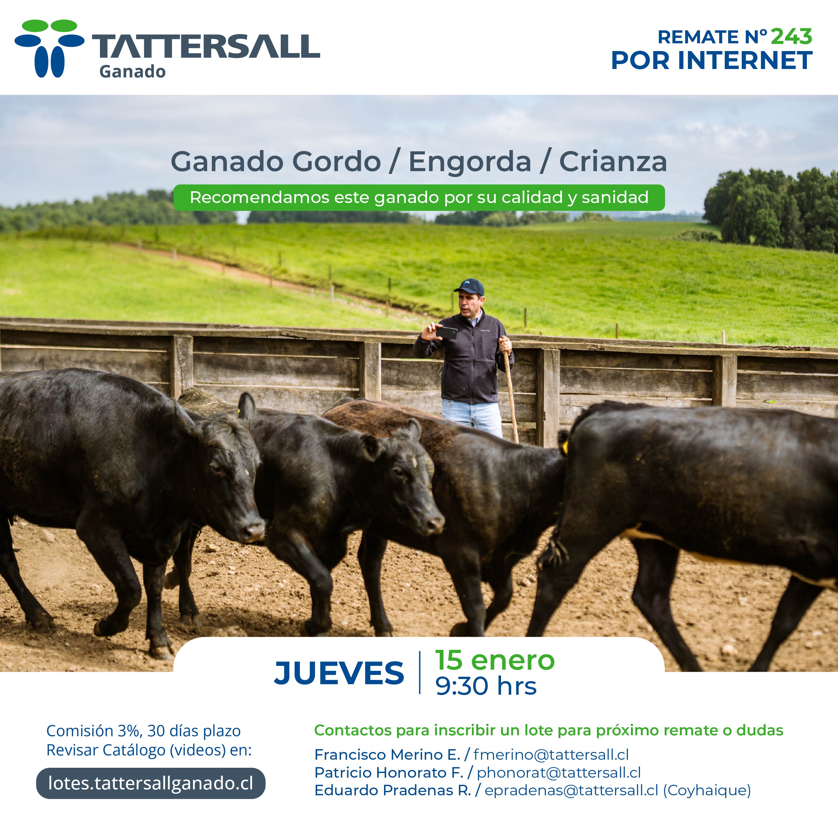 15 de Enero Ganado Crianza y Engorda