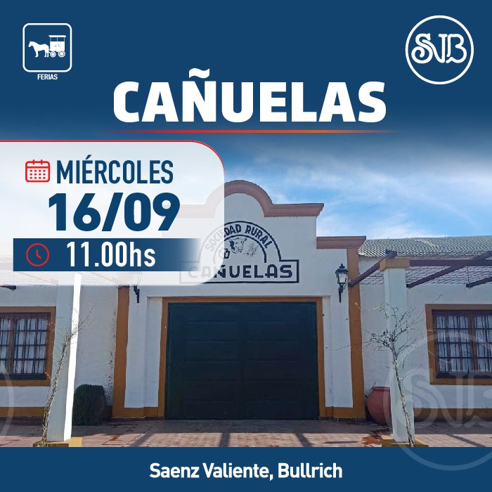 Afiche Feria en Cañuelas