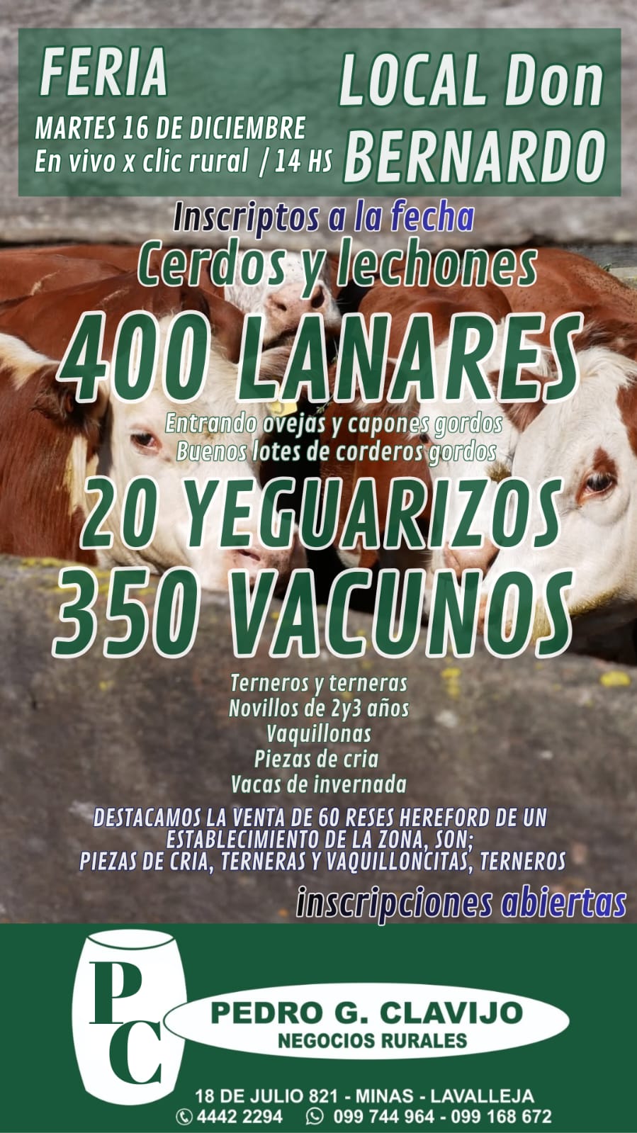 Feria Mensual - Don Bernardo