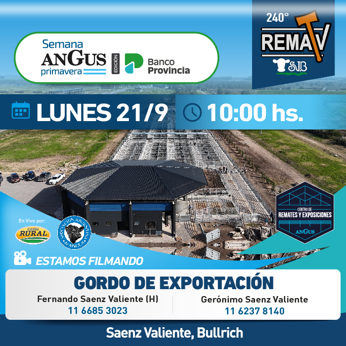 240° RematV - Gordo de Exportación