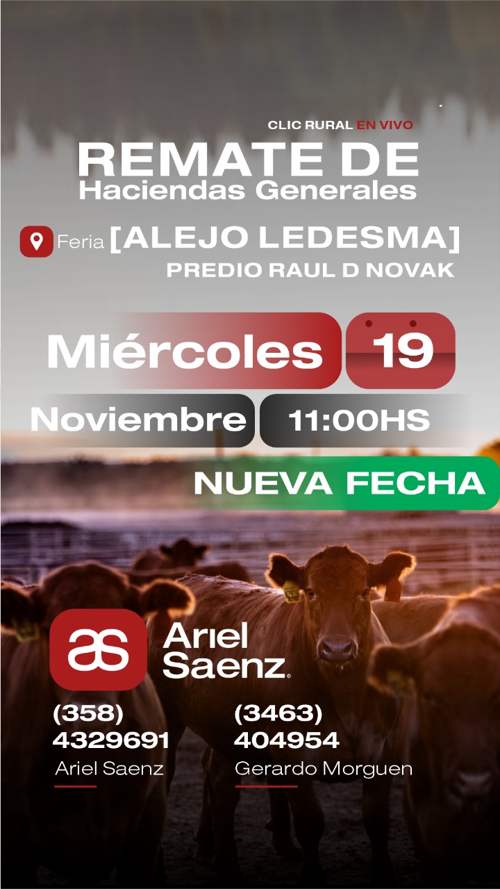 Afiche 19 DE NOVIEMBRE - Alejo Ledesma