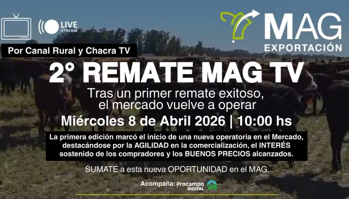 2° Remate MAG TV de Exportación