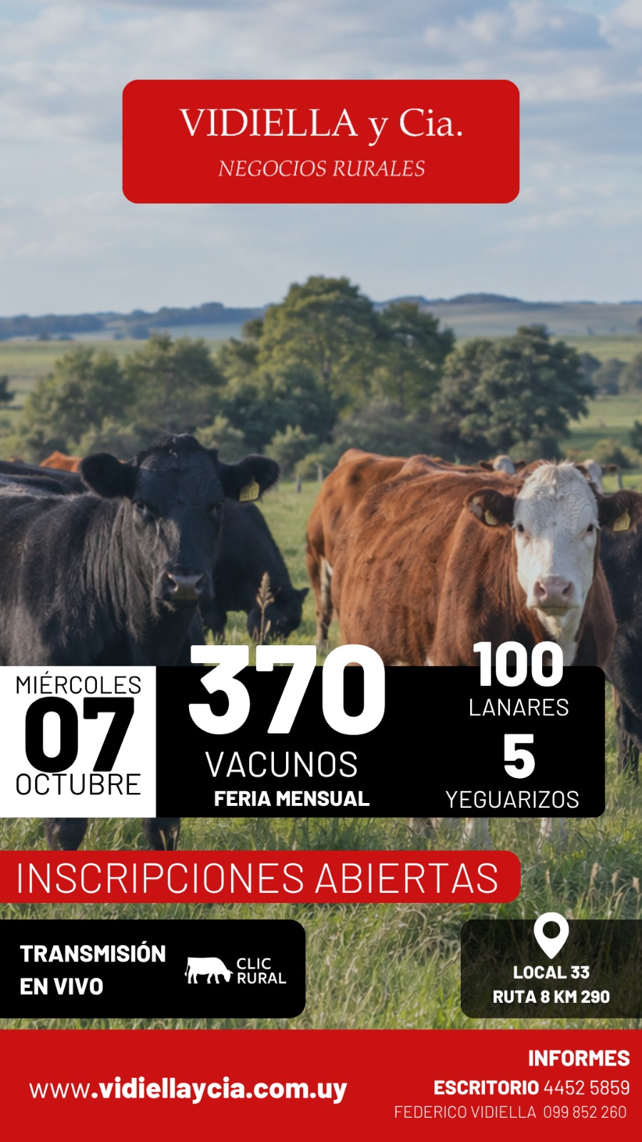Remate Feria Mensual