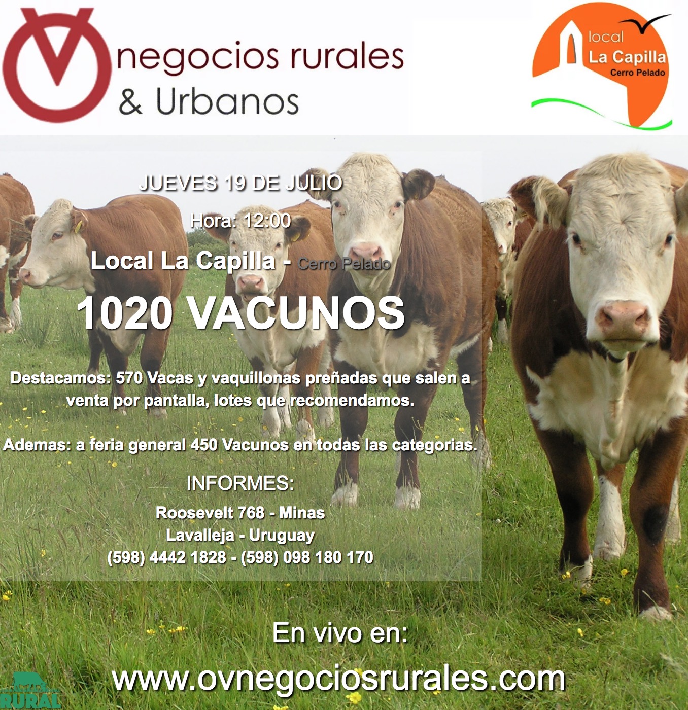 Afiche 