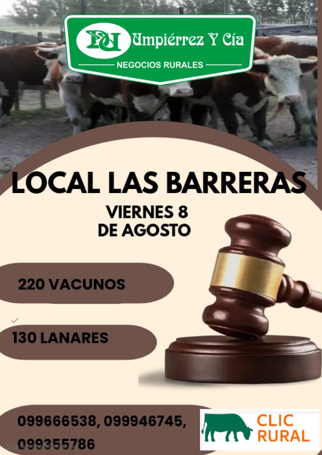 Afiche Feria Mensual - Local Las Barreras