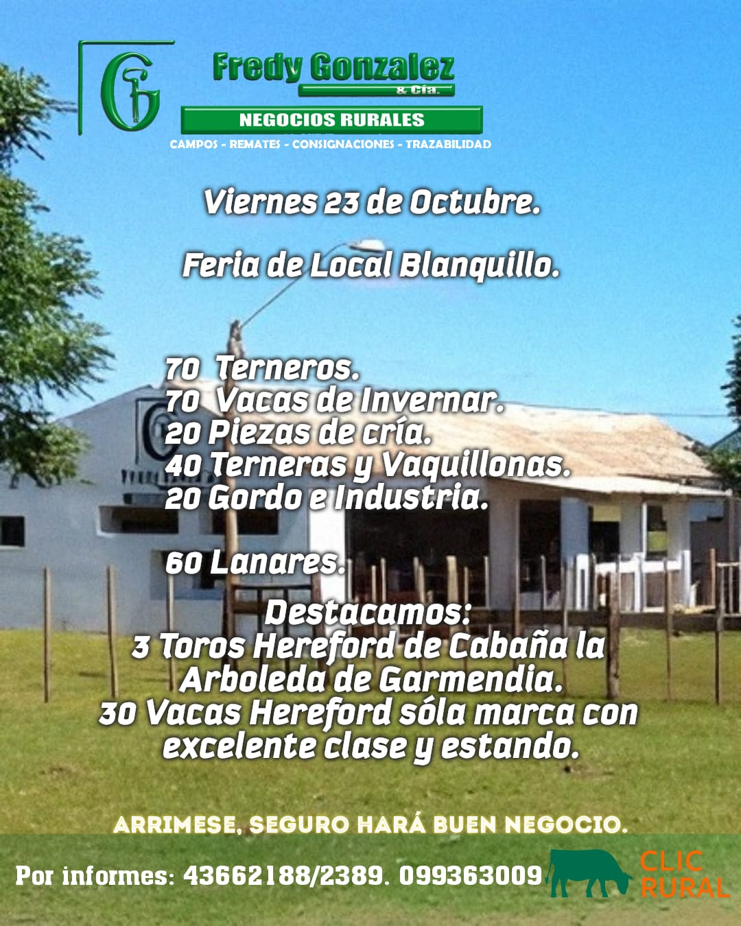 Afiche Feria mensual - Fredy Gonzalez