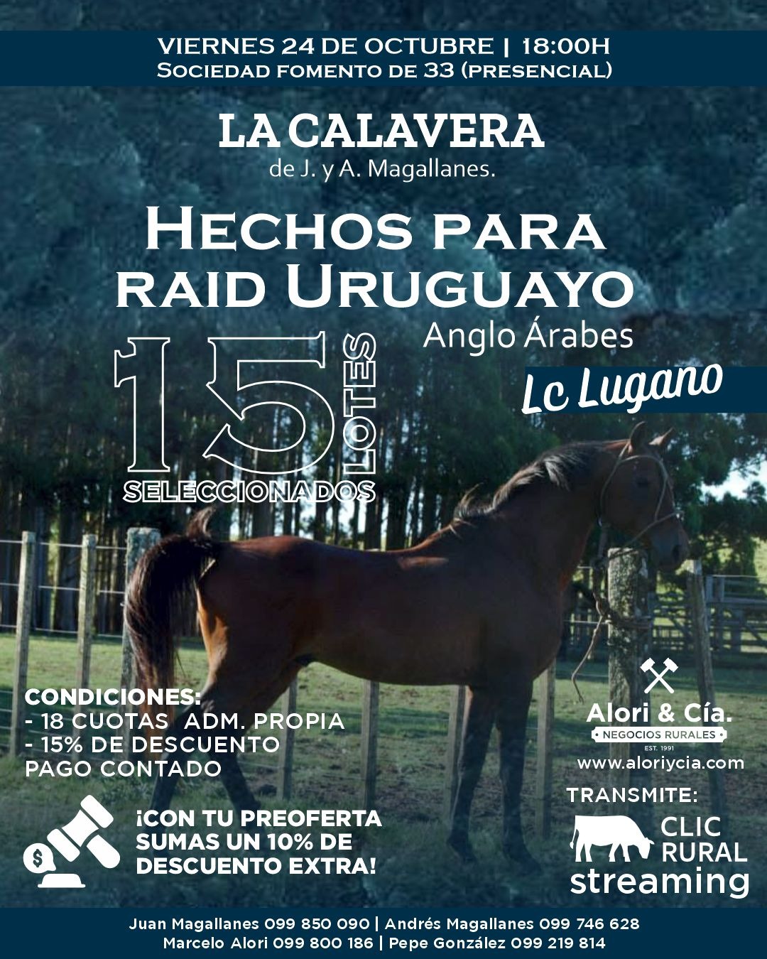 Remate La Calavera - Alori & Cia