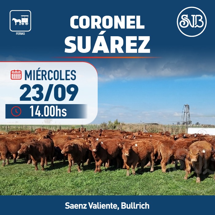 Afiche Feria en Cnel. Suárez