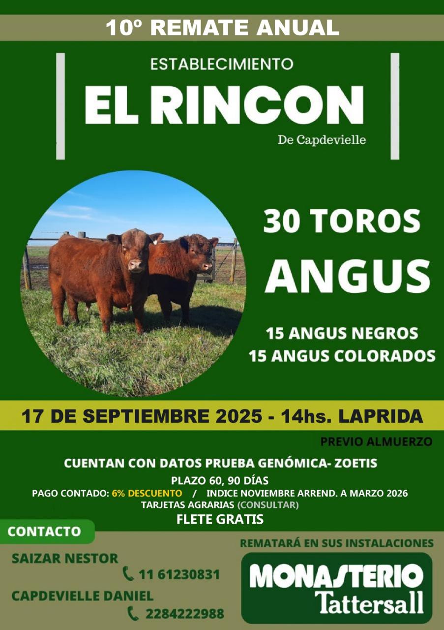 Remate Remate Físico Cabaña El Rincón de Capdevielle